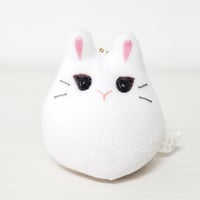 うちの子もっちーM-71
