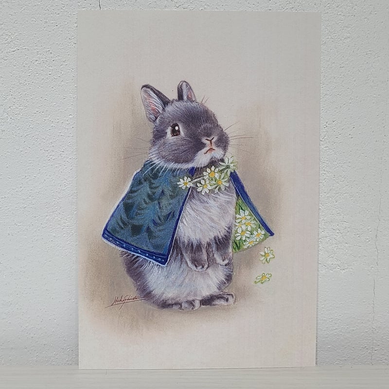 しらとあきこポストカードセット(5枚) | rabbica ONLINE STORE しらとあきこポストカードセット(5枚) | rabbica ONLINE STORE