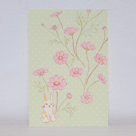 ポストカード2枚セット「秋桜」