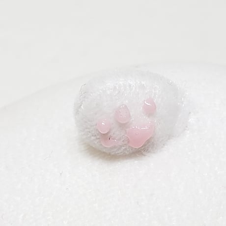 ねこもっちー（花束どうぞ 白）