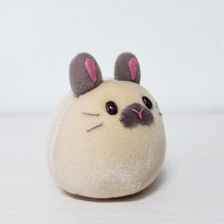 うちの子もっちー M-79