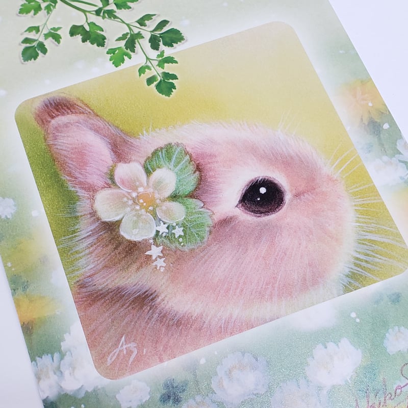 しらとあきこポストカードセット(4枚) | rabbica ONLINE STORE しらとあきこポストカードセット(4枚) | rabbica ONLINE STORE
