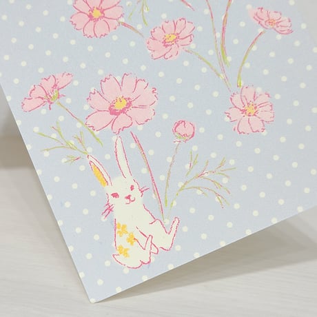 ポストカード2枚セット「秋桜」
