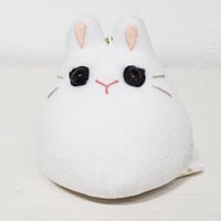 うちの子もっちー M-112