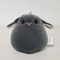 うちの子もっちー M-139