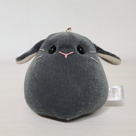 黒うさぎ | STORES