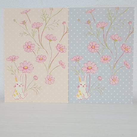 ポストカード2枚セット「秋桜」
