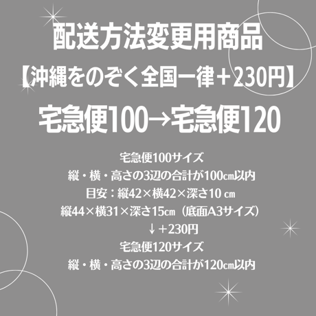 宅急便100→宅急便120変更商品【沖縄をのぞく全国一律＋230円】