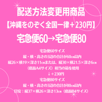 宅急便60→宅急便80変更商品【沖縄をのぞき一律＋230円】