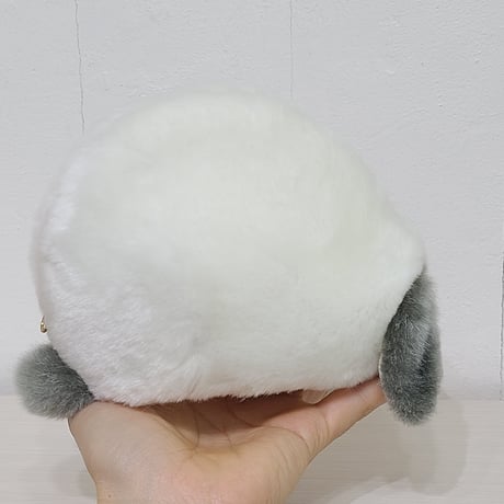 ふわふわのポーチさん(ロップ) ヒマラヤン薄ブルー