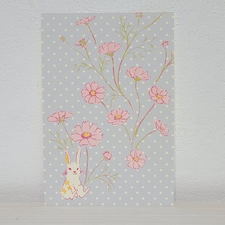 ポストカード2枚セット「秋桜」