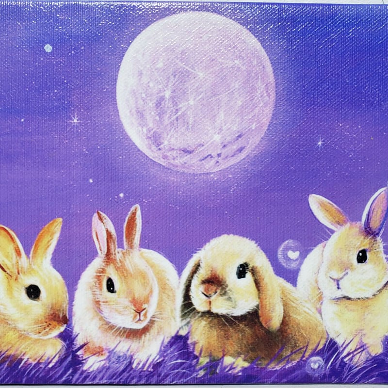 モモンガハウス(うさぎ・和柄)  夏(春・秋)仕様   1900円 モモンガハウス(うさぎ・和柄) 夏(春・秋)仕様 1900円