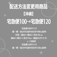宅配便100→宅配便120変更商品【沖縄】