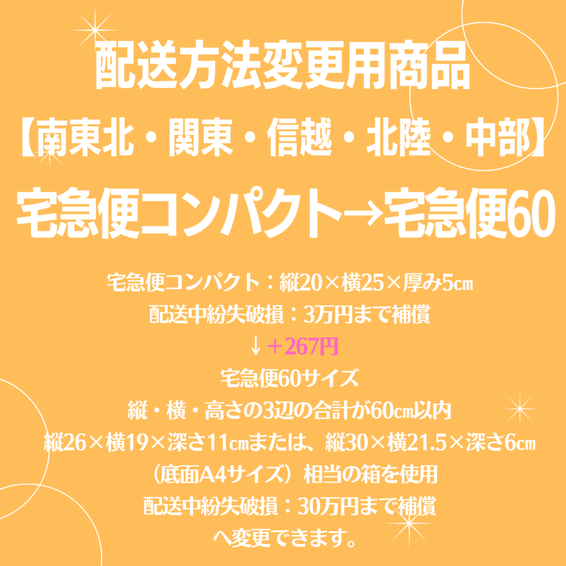 イオン化粧品　ロイヤル(宅急便コンパクト匿名配送) リピーター割、条件で更に割引 宅急便コンパクト→宅急便60変更商品【南東北・関東・信越・北陸