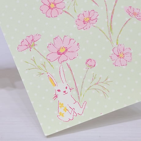 ポストカード2枚セット「秋桜」