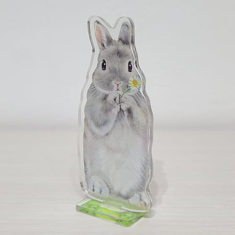 しらとあきこ | STORES