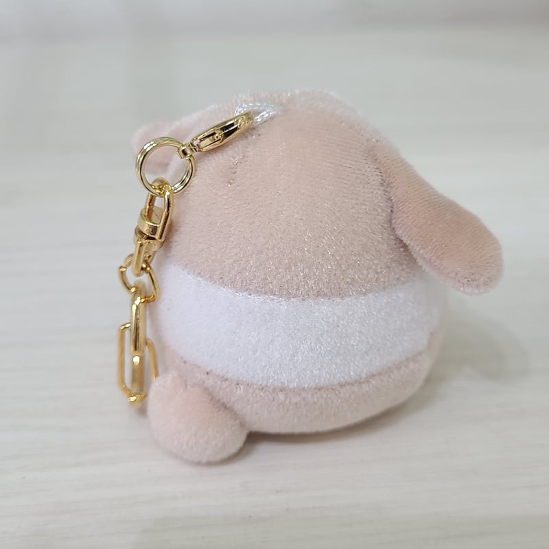 うさぎしまコラボもっちー【モカ(momo)】 | rabbica ONLINE STORE