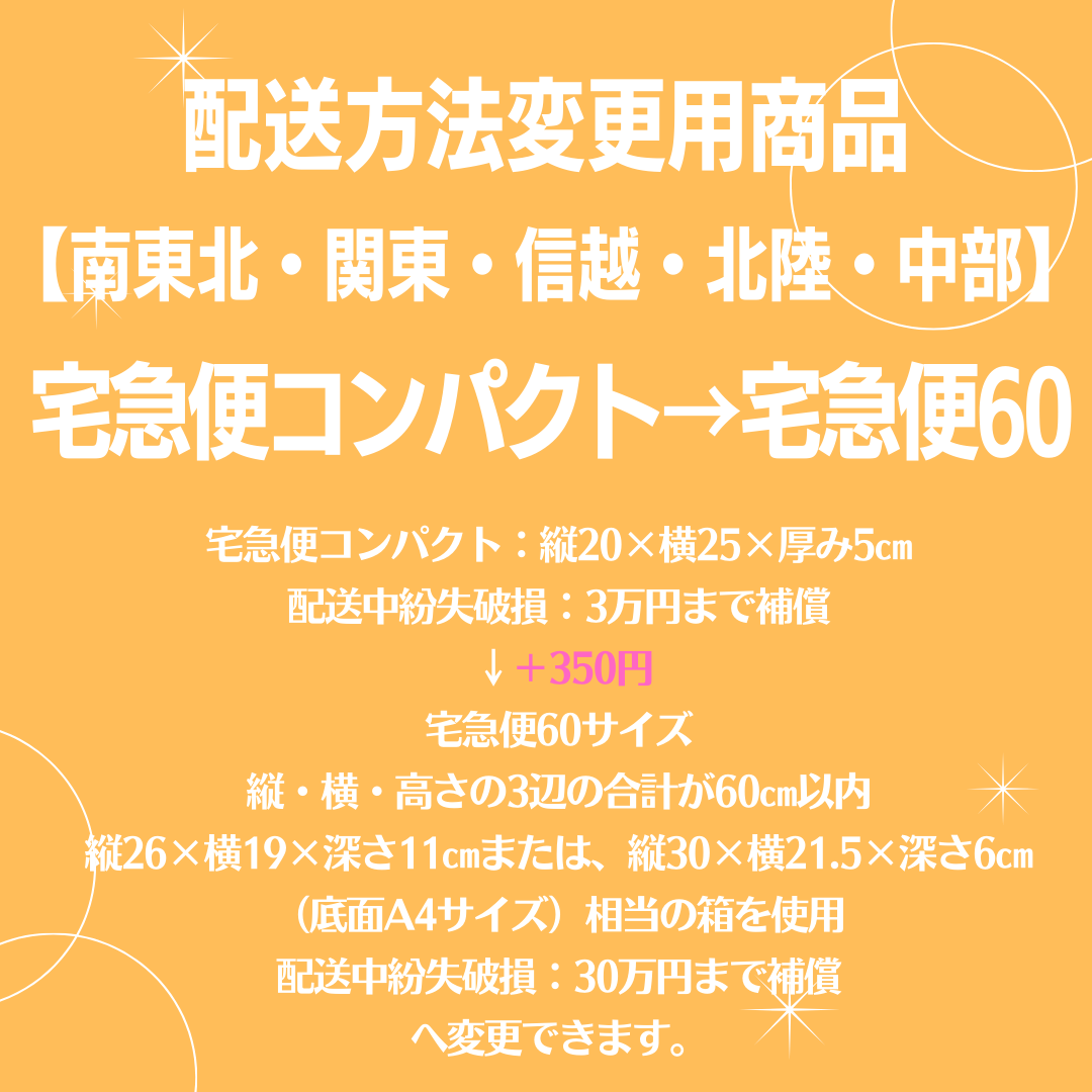 【宅急便コンパクト・3種変更・2種追加あり】mintyページ fit=scale-down,w=1200
