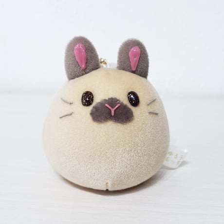 うちの子もっちー M-79