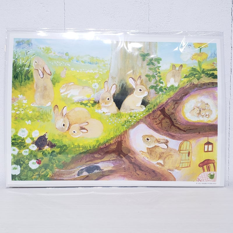 マツモトヨーコ ドローイング 絵画 「微妙な関係」 ポピーと季節の花ば