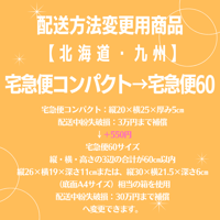 イオン化粧品　ピアレス(宅急便コンパクト匿名配送)リピーター割、条件で更に割引 配送日数・配送料金につきまして】 ピアス（その他） Muguet