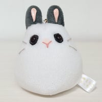 うちの子もっちー M-