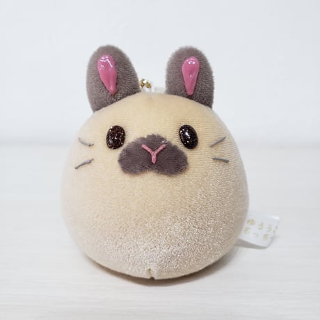 うちの子もっちー M-79