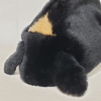 ふわふわのポーチさん ロップイヤー ブラックオター