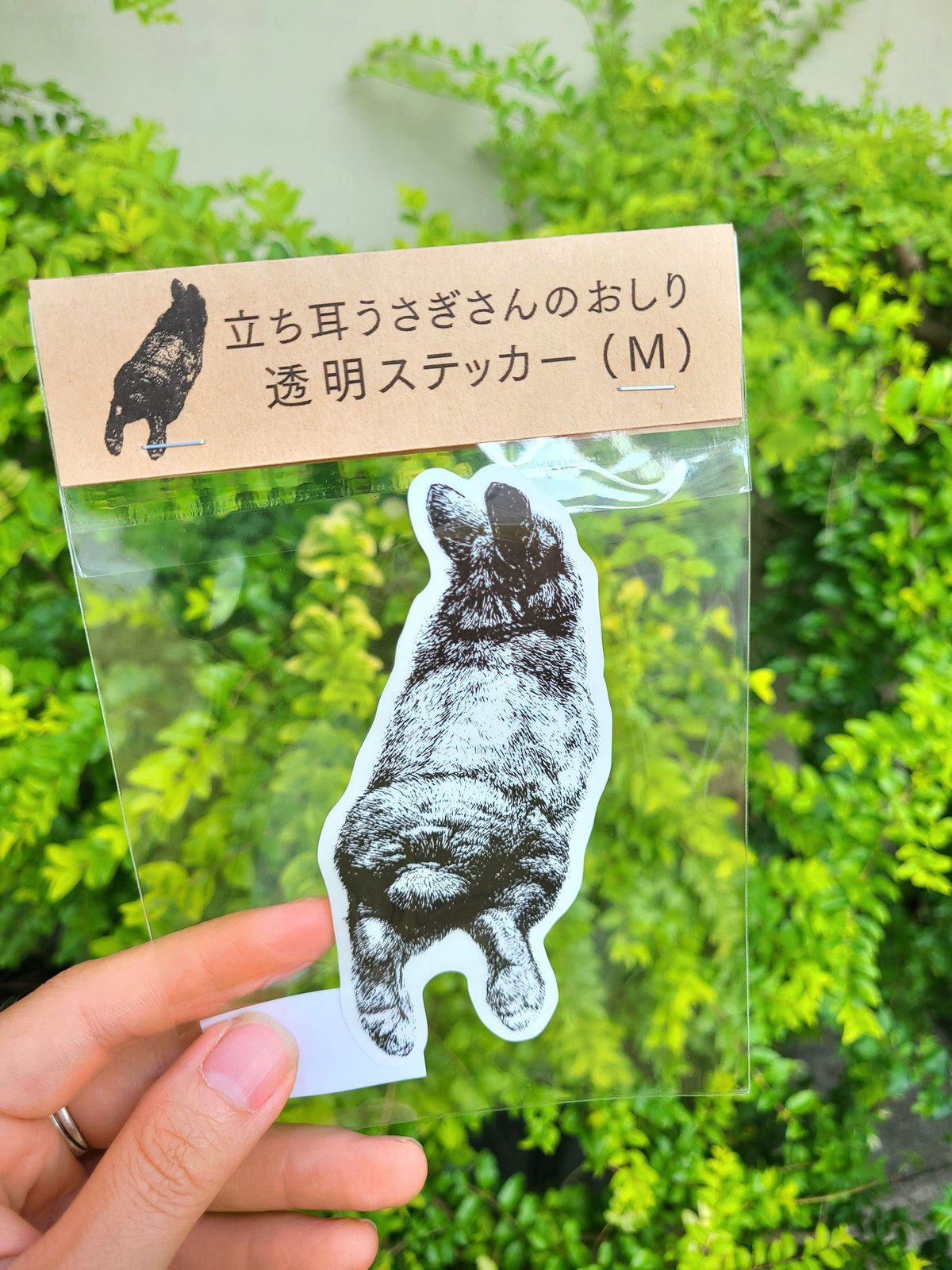 立ち耳うさぎさんのおしり透明ステッカー | rabbica ONLINE STORE