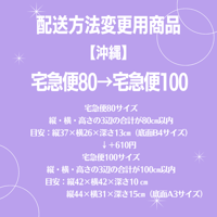 宅急便80→宅急便100変更商品【沖縄】