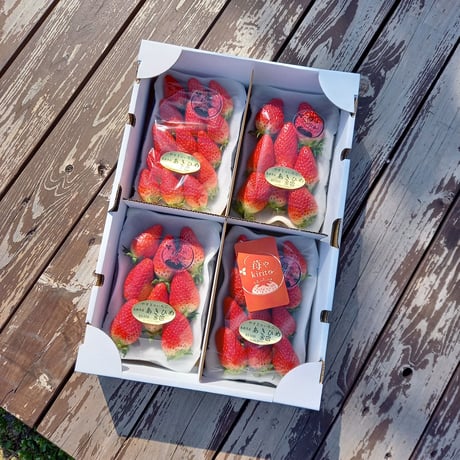 ♡かわいやいちご♡2点セット いちごラテ1P 粉末タイプ プレゼント ギフト コフレ プチギフト