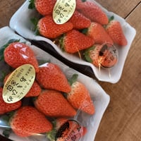 チルド送料無料キャンペーン☆いちご2トレー入り 贈答用   あきひめと紅ほっぺ