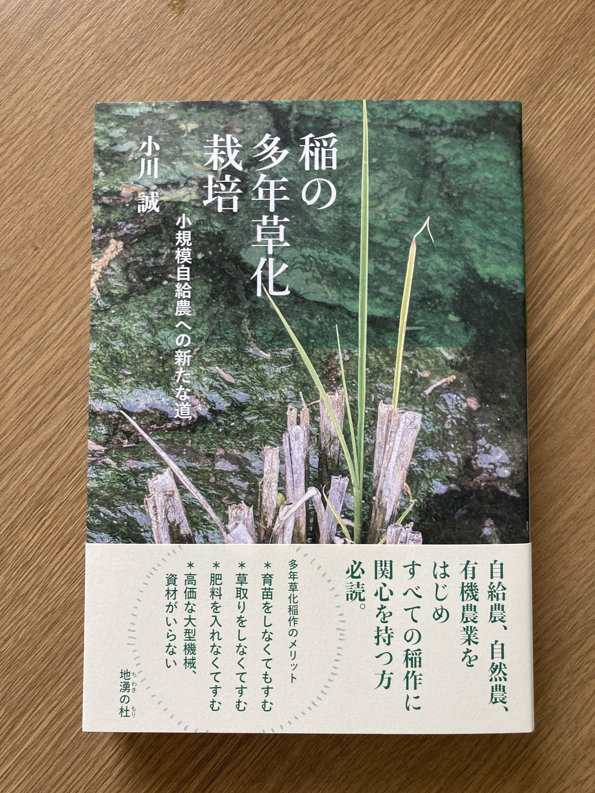 稲の多年草化栽培 〜小規模自給農への新たな道 | 地湧の杜の本屋さん