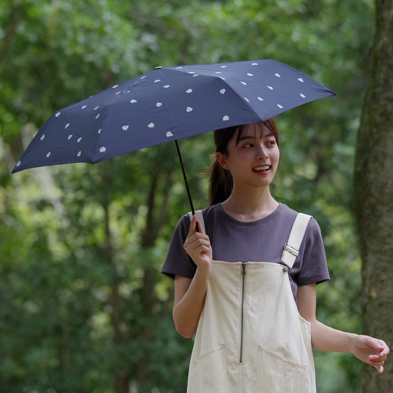 小物 Pretty Sentaro x Metal Resident x Pitz 「云目麻」Cuben Zipper Bag (DCF