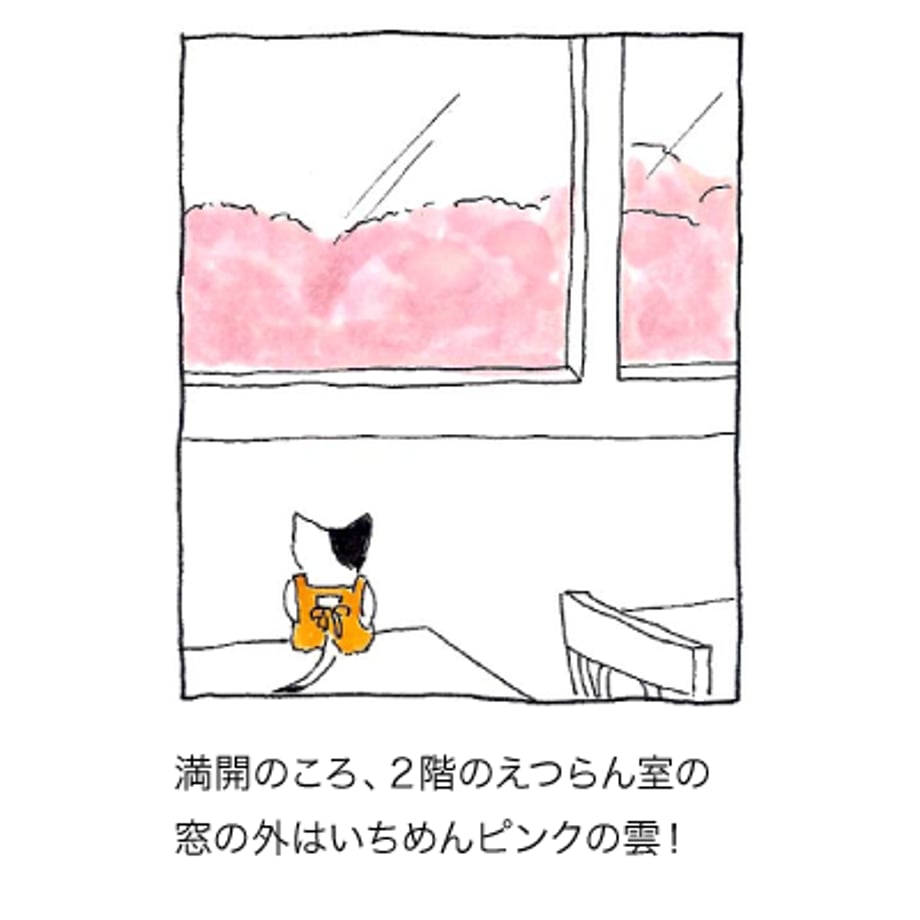 6357797cabc35c7c4a15f451