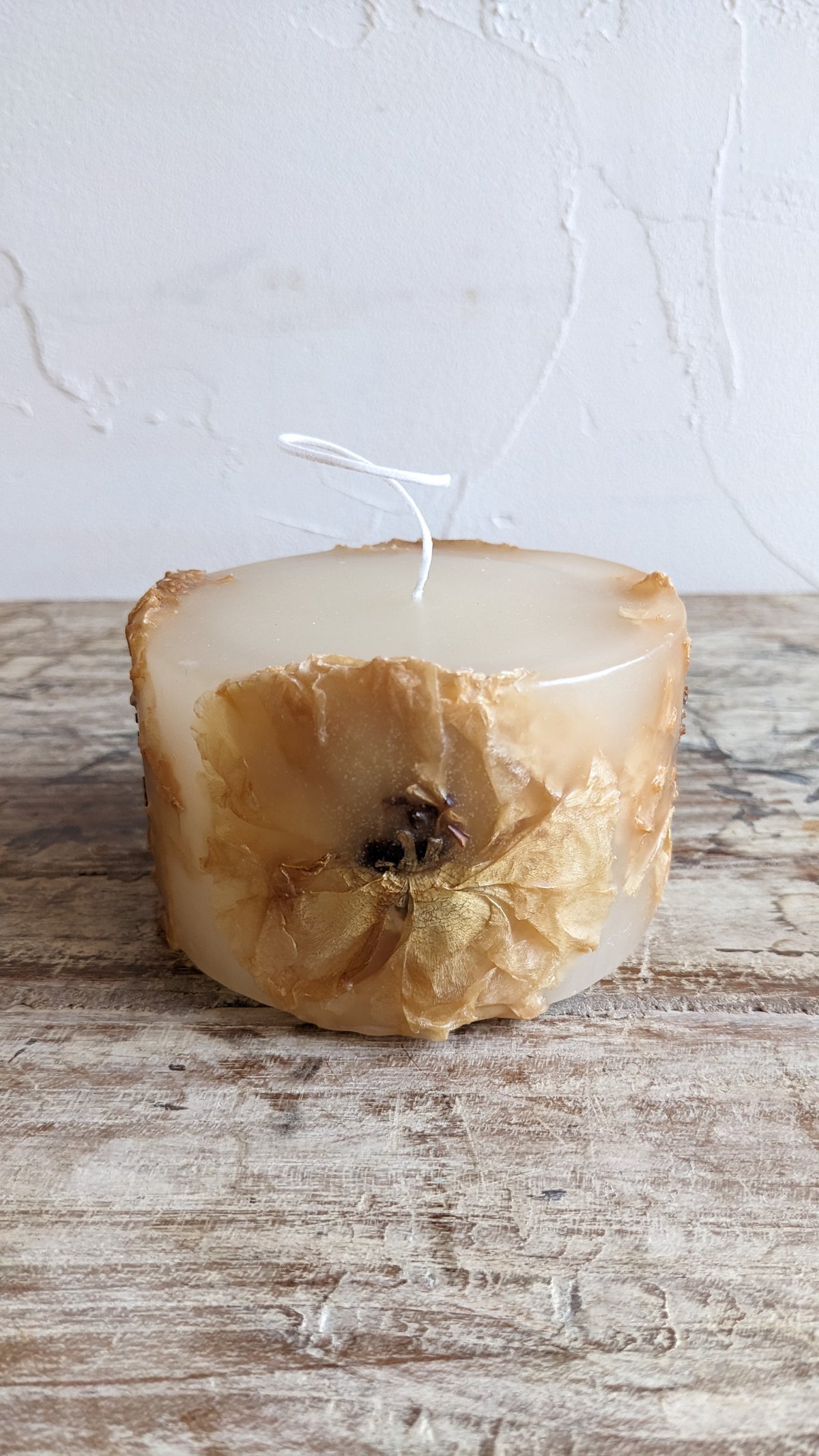 猫のポット、トルコの花瓶、スウェーデンのキャンドル 猫のポット、トルコの花瓶、スウェーデンのキャンドル