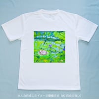 睡蓮 / せどはるな