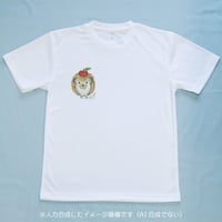 頭にりんご / ひだまり