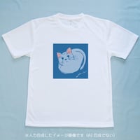Neco / 構亜利沙