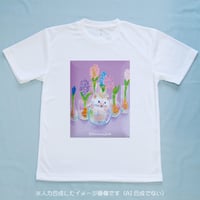 ヒヤシンス / せどはるな