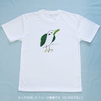 Tori / 構亜利沙