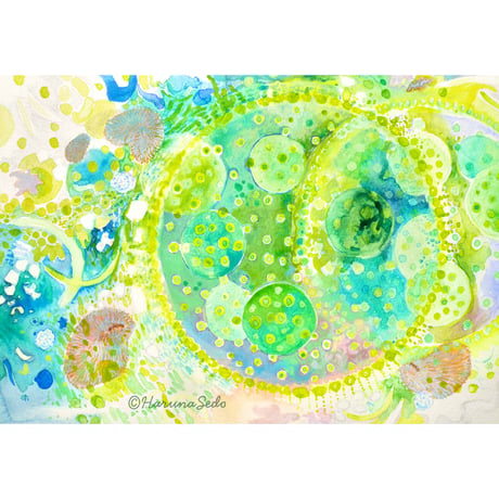 微生物ライフ / せどはるな