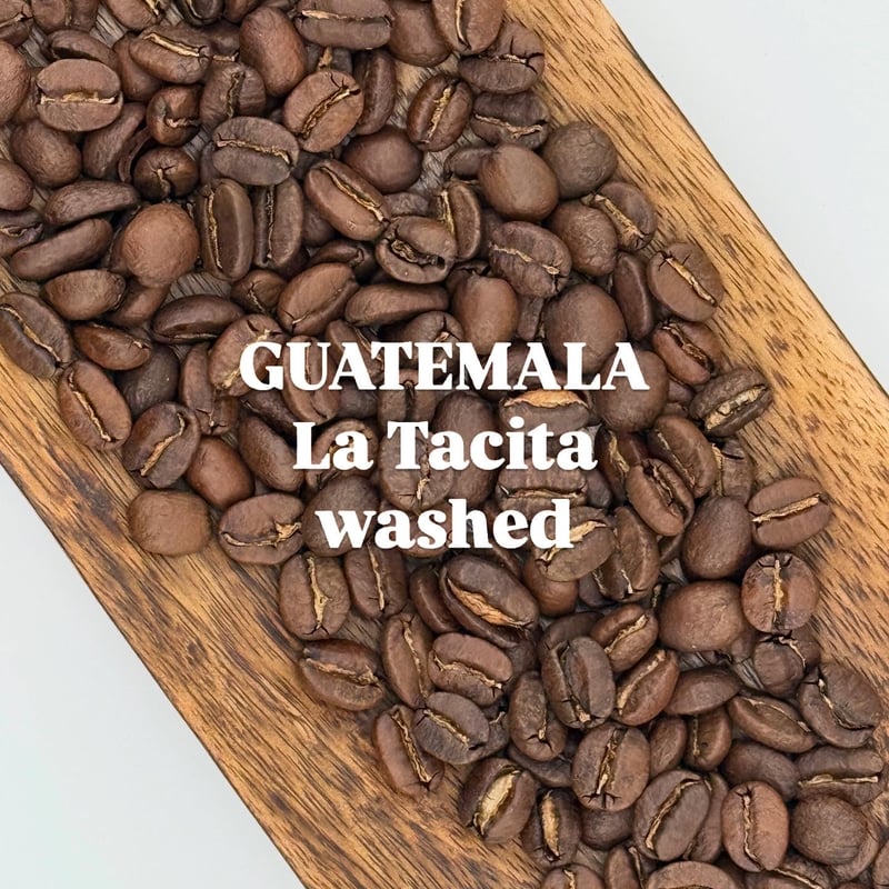 中煎り】グアテマラ ラ・タシータ ウォッシュド | EVER GREEN COFFEE