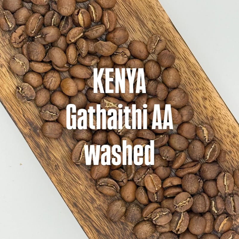 浅煎り】ケニア ガタイティAA ウォッシュド | EVER GREEN COFFEE