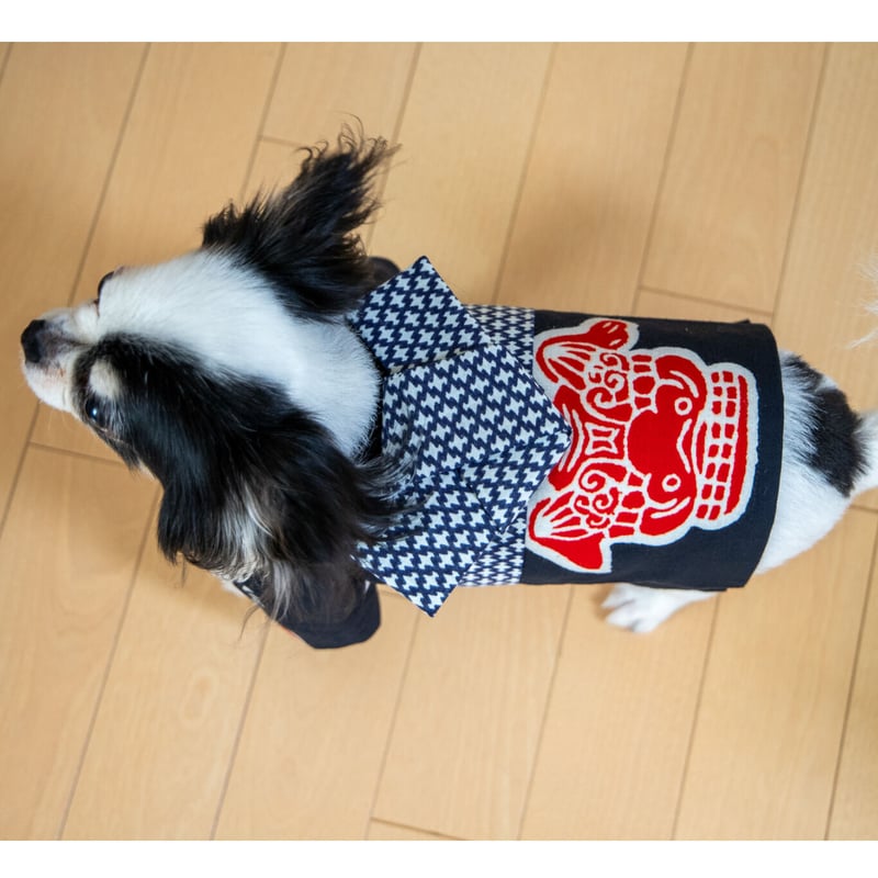 受注生産】獅子舞なりきり犬用法被 | スミツネ染