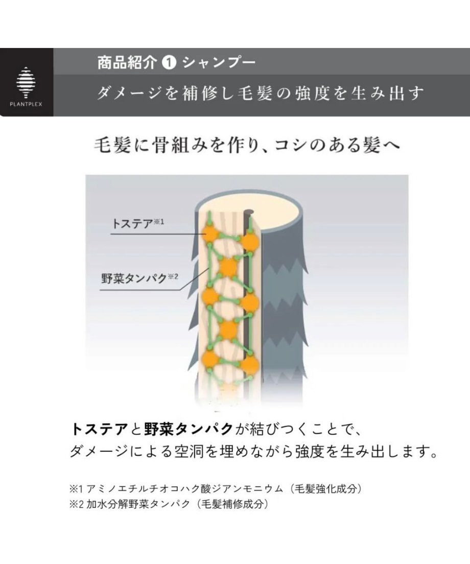 10%offセール》【エアンス ザ サロン】スムースシャンプー | 髪質改善