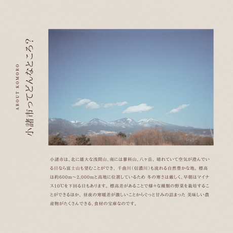 てのひら小諸  Mサイズ 定期便