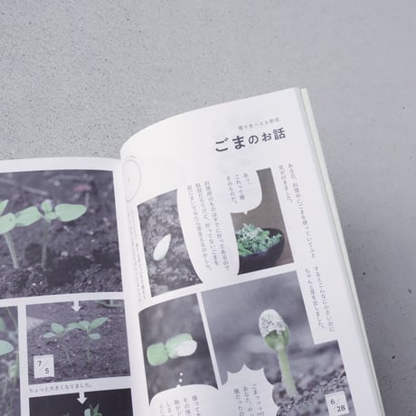 【ASAMAYA SELECT】種から種へ  命つながるお野菜の一生