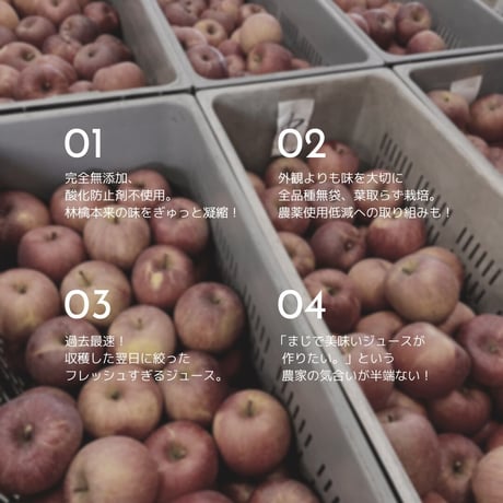 APPLE JUICE FUJI