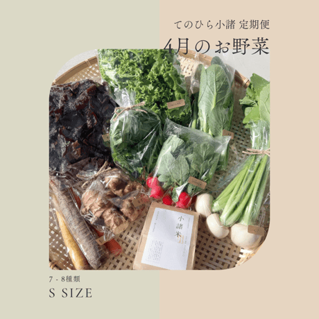 てのひら小諸  Sサイズ 定期便